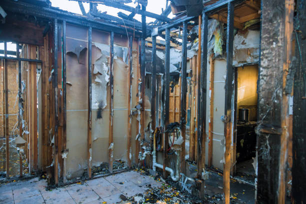 Professional Odor Removal technician working in Keuka Park, NY